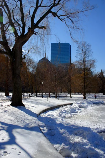 Boston, Massachusetts, ABD 'de kar yağışının stok görüntüsü — Stok fotoğraf