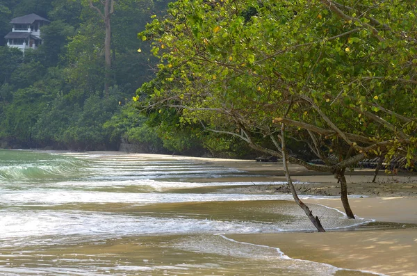 Στο νησί Langkawi, Μαλαισία — Φωτογραφία Αρχείου