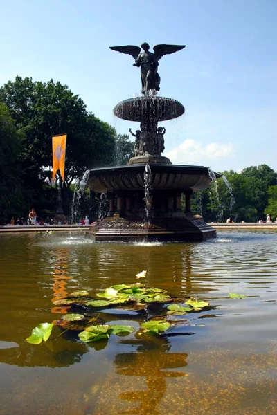 New York Central Park, Spojené státy americké — Stock fotografie