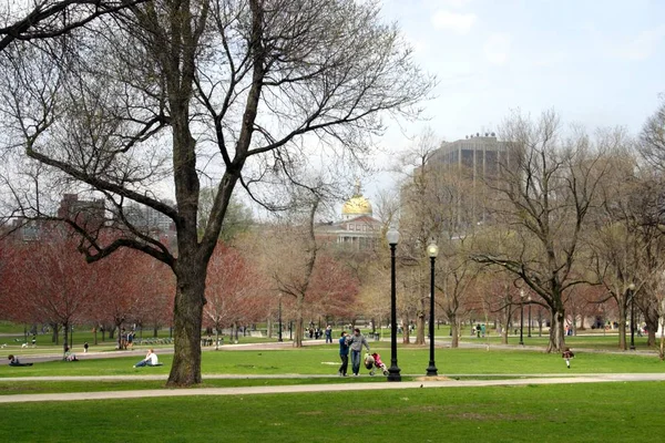 Boston Common i publiczny ogród, Stany Zjednoczone Ameryki — Zdjęcie stockowe