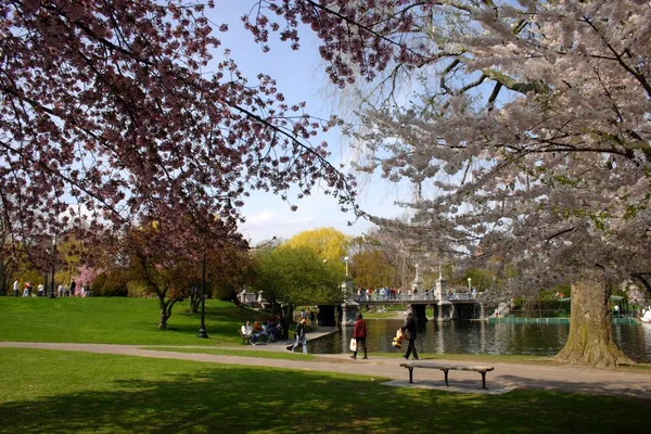 Boston Common and Public Garden, EUA — Fotografia de Stock