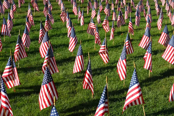 Campo de Bandeiras Americanas — Fotografia de Stock