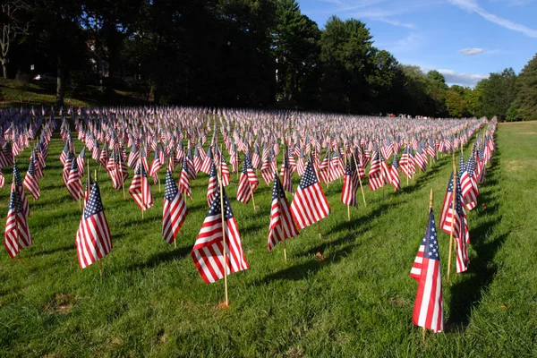 Campo de banderas americanas — Foto de Stock