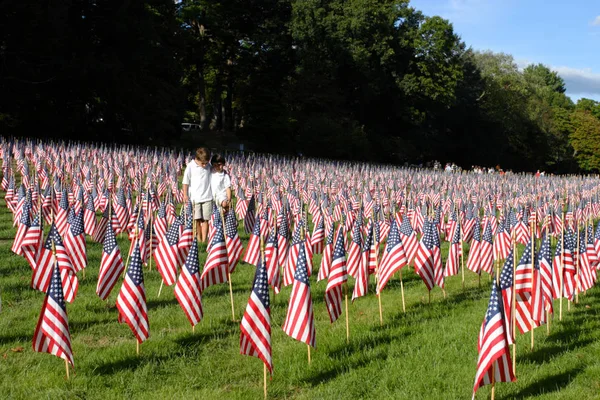 Campo de banderas americanas — Foto de Stock