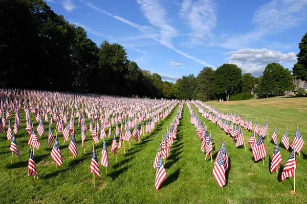 Campo de banderas americanas — Foto de Stock