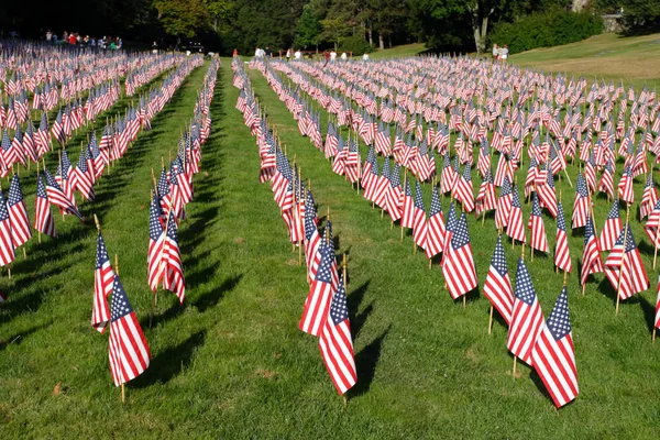 Campo de Bandeiras Americanas — Fotografia de Stock