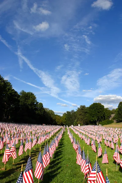 Campo de banderas americanas — Foto de Stock