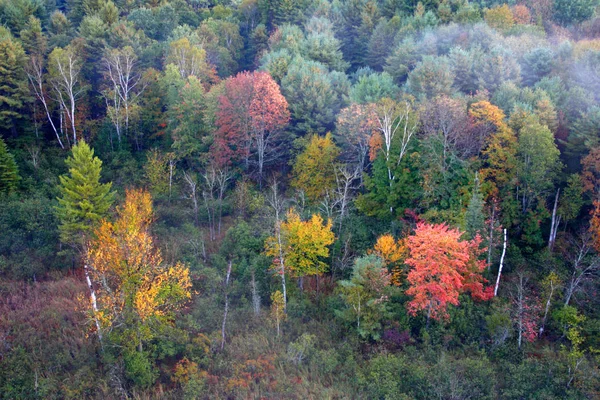 An aerial view of a hot air balloon floating over the Vermont country side — Stock Photo, Image