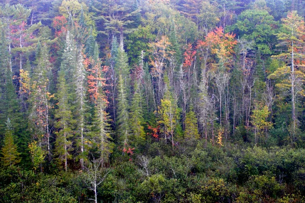 Uma vista aérea de um balão de ar quente flutuando sobre o lado do país de Vermont — Fotografia de Stock