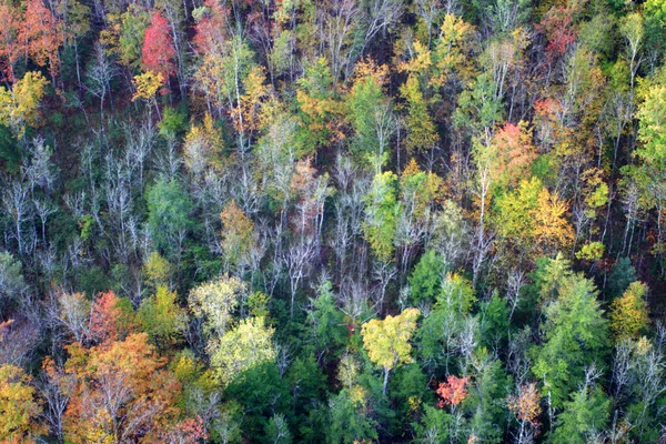 An aerial view of a hot air balloon floating over the Vermont country side — Stock Photo, Image