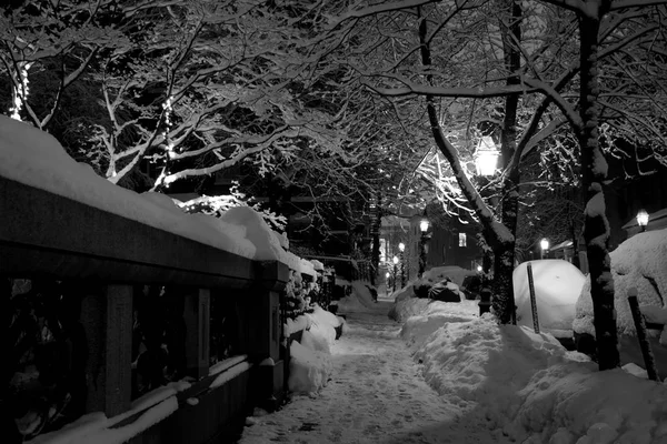 Stock image sněhové zimy v Bostonu, Massachusetts, usa — Stock fotografie