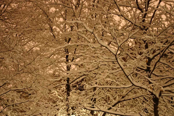 美国马萨诸塞州伯斯顿市冬季下雪时的库存图像 — 图库照片