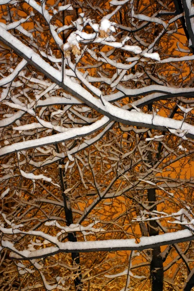Obraz zapasu śniegu zima w Bostonie, massachusetts, usa — Zdjęcie stockowe