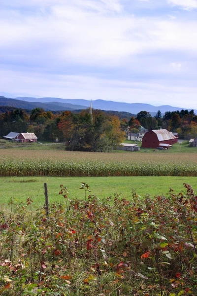 Folhagem de outono em Vermont, EUA — Fotografia de Stock