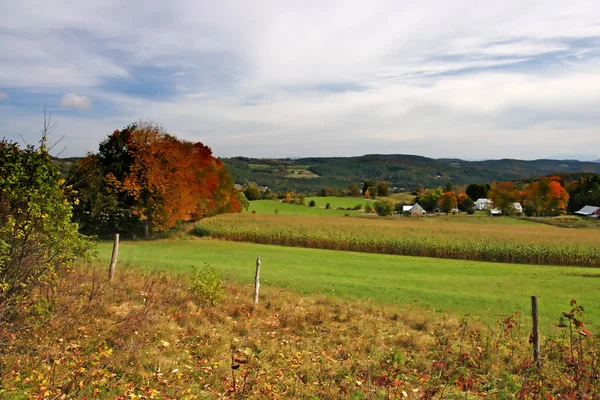 Follaje otoñal en Vermont, EE.UU. —  Fotos de Stock