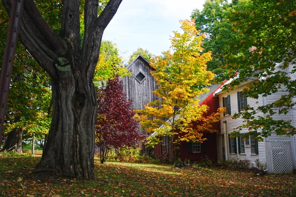 Na podzim listy na Vermont, Usa — Stock fotografie