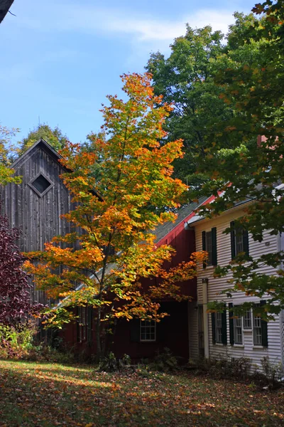 Sonbaharda yapraklar, Vermont, ABD — Stok fotoğraf