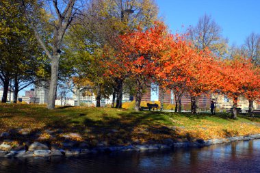 Sonbaharda yapraklar Boston'da stok görüntü