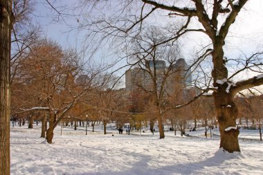 Boston, Massachusetts, ABD 'de kar yağışının stok görüntüsü