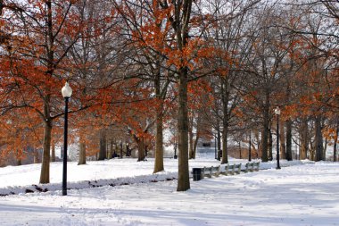 Boston, Massachusetts, ABD 'de kar yağışının stok görüntüsü