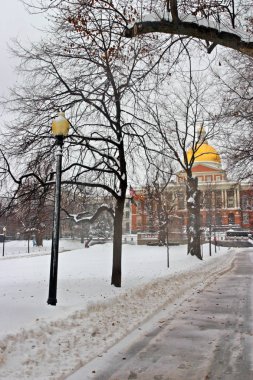 Boston, Massachusetts, ABD 'de kar yağışının stok görüntüsü
