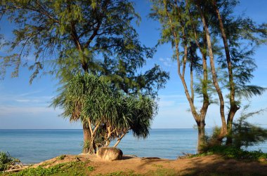 Mai khao beach, Phuket, Tayland, mavi gökyüzü ile güzel bir plaj