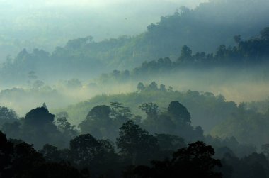 Sisli manzara stok görüntü