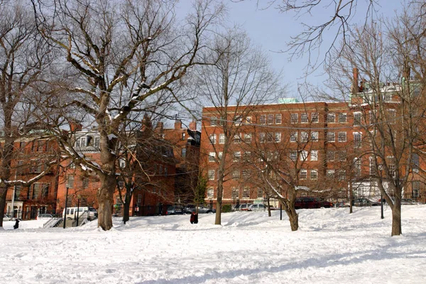 Stock imagen de un invierno nevando en Boston, Massachusetts, EE.UU. —  Fotos de Stock