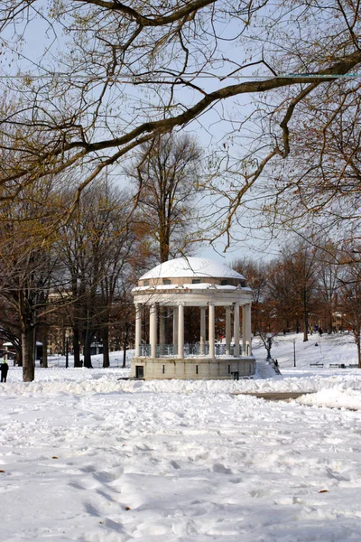 Stock immagine di un inverno nevoso a Boston, Massachusetts, Stati Uniti — Foto Stock