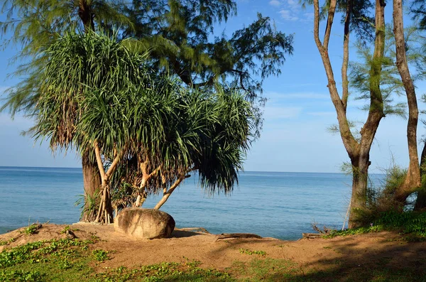 Nádherná pláž s modrou oblohou v Mai khao beach, Phuket, Thajsko — Stock fotografie