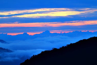 Cameron Highland, Malezya