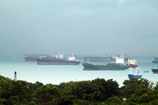 世界で最も忙しい港の一つであるシンガポールに入る貨物船の鳥ビューからの風景 — ストック写真