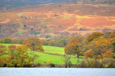 Loch Lomond, İskoçya'nın stok görüntü
