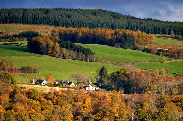 Pień obraz Loch Lomond, Szkocja — Zdjęcie stockowe