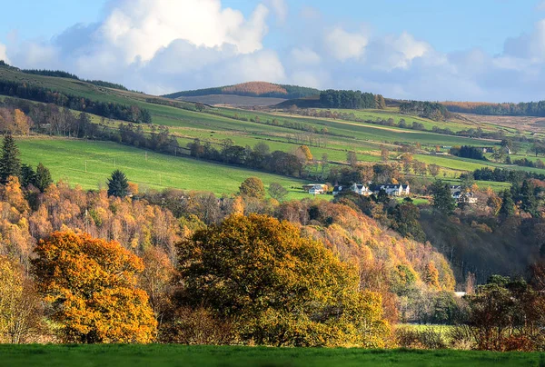 Pień obraz Loch Lomond, Szkocja — Zdjęcie stockowe