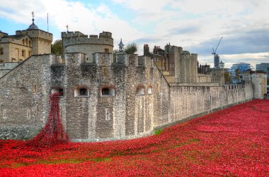 Londra Kulesi ile deniz, kırmızı - 30 Ağustos 2014 - Londra, İngiltere'de ı. Dünya Savaşı düşmüş asker hatırlamak haşhaş