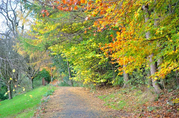 Kelvingrove Park - Glasgow, Skottland — Stockfoto