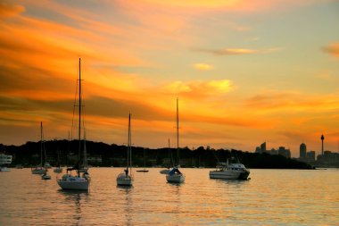 Watsonlar Bay, Nsw, Avustralya