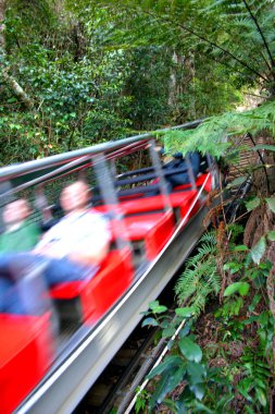 Blue Mountain, Nsw, Avustralya