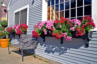 Woods Hole, Massachusett, ABD