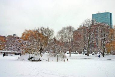 Boston, Massachusetts, ABD 'de kar yağışının stok görüntüsü
