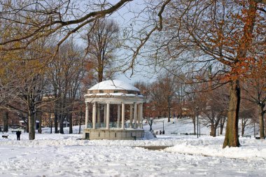 Boston, Massachusetts, ABD 'de kar yağışının stok görüntüsü