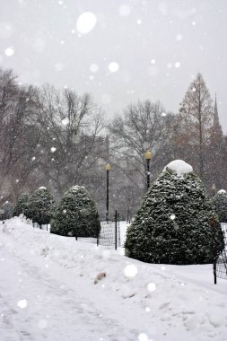 Boston, Massachusetts, ABD 'de kar yağışının stok görüntüsü