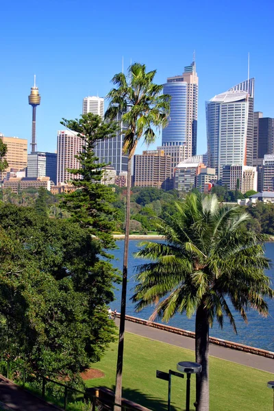 A view of Sydney's skyline from the Royal Botanical Garden — Stock Photo, Image