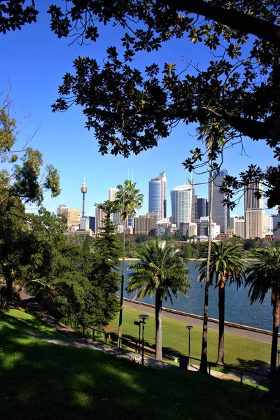 Una vista del horizonte de Sydney desde el Real Jardín Botánico — Foto de Stock