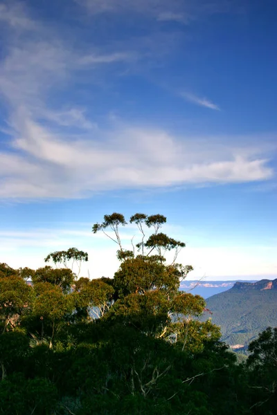 Blue Mountain, NSW, Australia — Stock Photo, Image