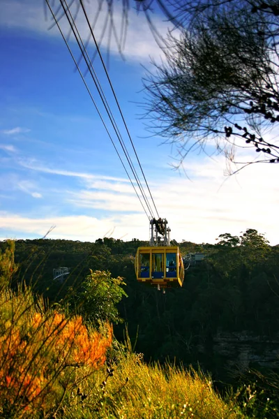 Blue Mountain, Nsw, Australia — Foto de Stock