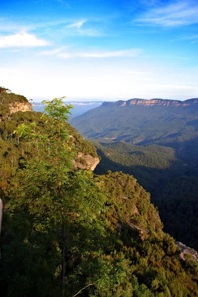 Blue Mountain, Nsw, Australië — Stockfoto