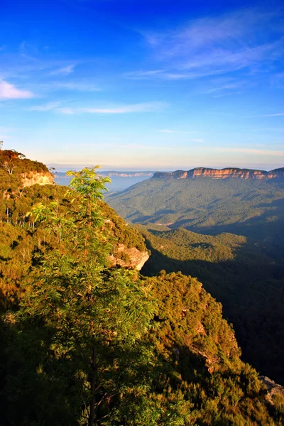 Blue Mountain, Nsw, Australië — Stockfoto