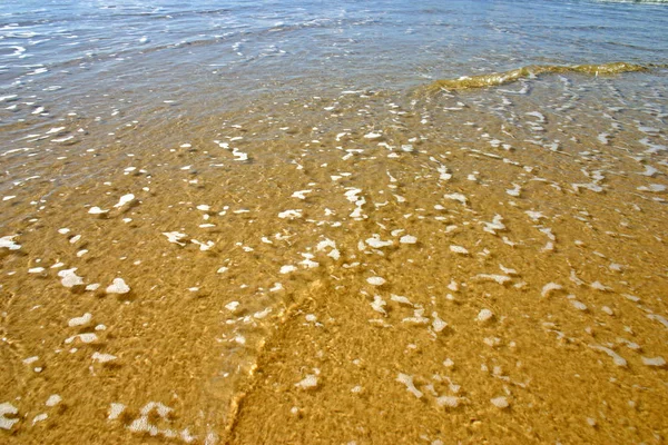 Fraser Island, Australie est la plus grande île de sable au monde — Photo